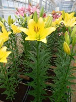 [4023 Mynnou No01.JPG]